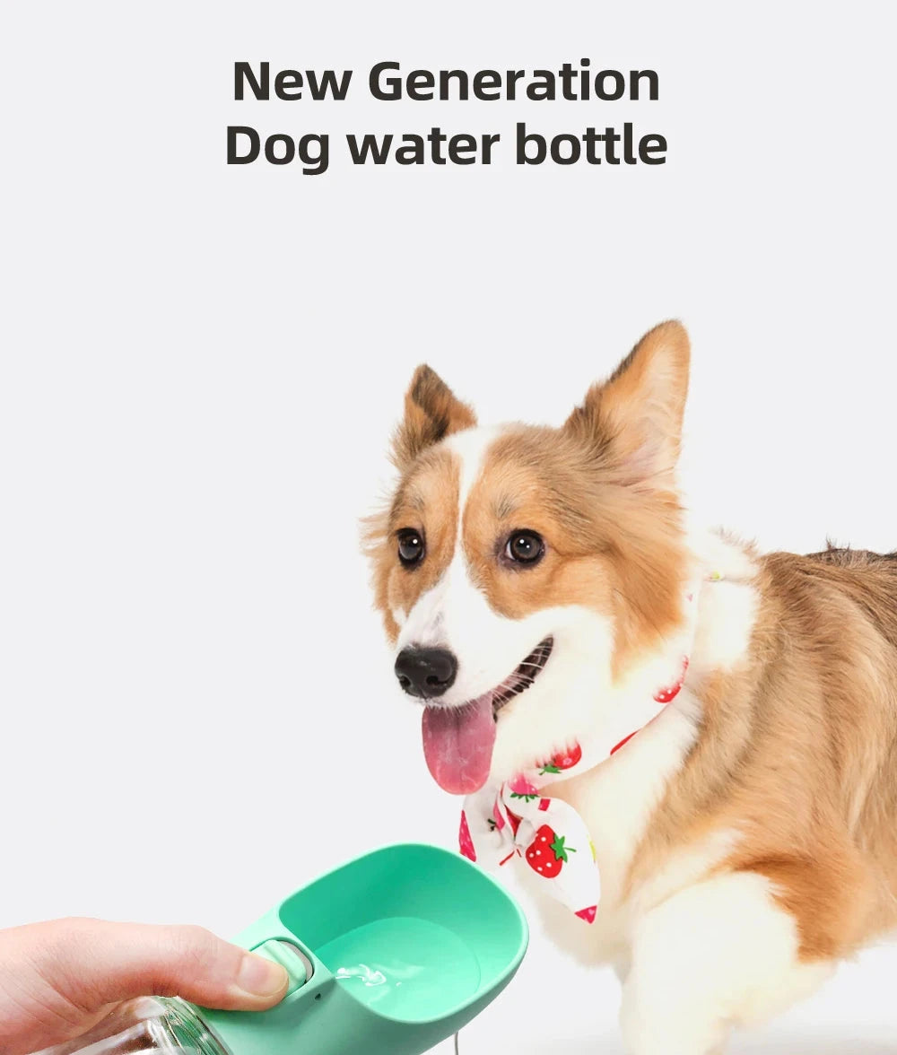 Dog Water Bottle for Pets Weeknd Shop Online