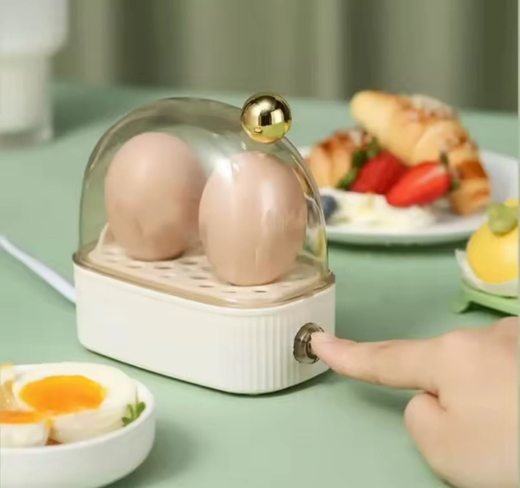 Electric Egg Boiler Automatic Cooker