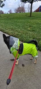 The Dog Face Waterproof Pet Raincoat – All-Weather Protection with Style