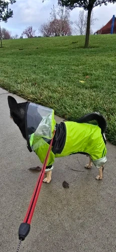 The Dog Face Waterproof Pet Raincoat – All-Weather Protection with Style