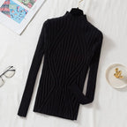Knitted Women High Turtle Neck Sweater