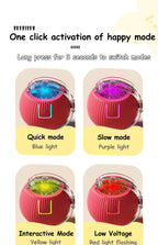 Speedy Tail 2.0 Cat Toy