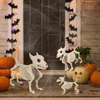 Halloween Little Wolf Skeleton Decoration – Indoor & Outdoor Ornament